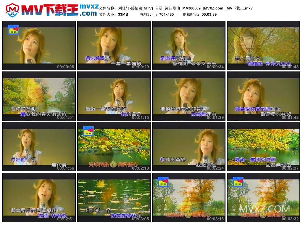 刘佳轩-感情路(MTV)_台语_流行歌曲_MA300589